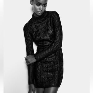 ZARA Sweater Dress